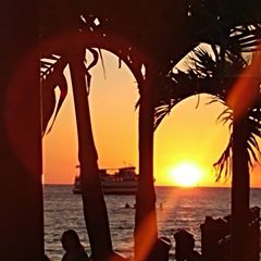 Profile Picture of Patti Pepper (@@pattipepper) on Tiktok