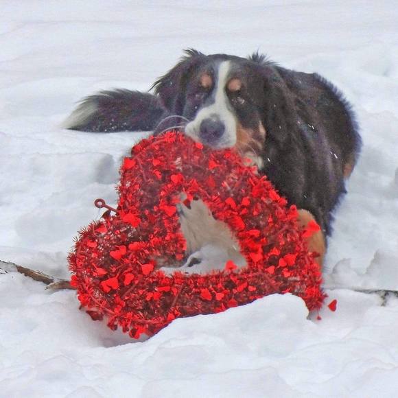 Profile Picture of Gay Towfiq (@gmabas) on Poshmark