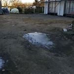 Profile Picture of Dina Schulz (@dina.schulz.77) on Instagram