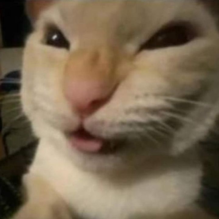 Profile Picture of 𝓡𝐛𝒊𝒏ツ (@robin.val) on Tiktok