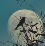 Profile Picture of Gladis Fuentes (@Gladis-Fuentes) on Facebook