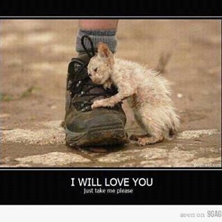 Profile Picture of Marty Mcpherson (@Marty-Mcpherson) on Facebook