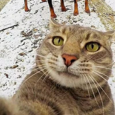 Profile Picture of Crystal Hatch (@CrystalHatch16) on Twitter