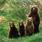 Profile Picture of Lila Hansen (@lila.gull.5) on Facebook