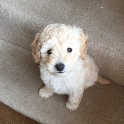 Profile Picture of Benjamin Slack (@MrBjslack) on Twitter