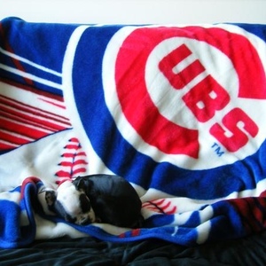 Profile Picture of Joe Stopka (@123319724) on Myspace