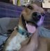 Profile Picture of Chris Wascom (@chris.wascom.733) on Facebook