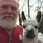 Profile Picture of Mark Poole (@poolefarmcreations) on Instagram