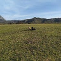 Profile Picture of Aleksandar Sljukic (@aleksandar-sljukic) on Quora