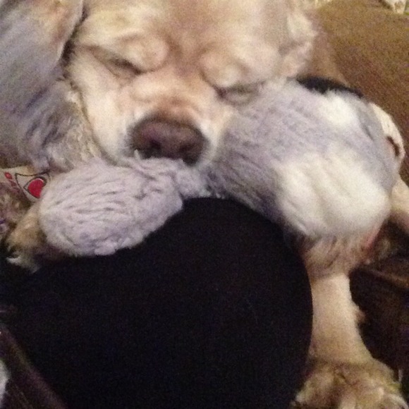 Krista Disalvo - Poshmark Profile Picture of Krista Disalvo (@kristadisalvo) on Poshmark