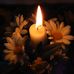 Profile Picture of Andrea Dannenberg (@andrea.dannenberg.77) on Facebook