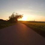 Profile Picture of Brandon Treadaway (@brandon.treadaway.501) on Instagram