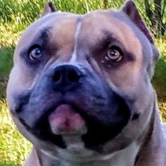 Profile Picture of Blake Sizemore (@gbsizemore) on Poshmark