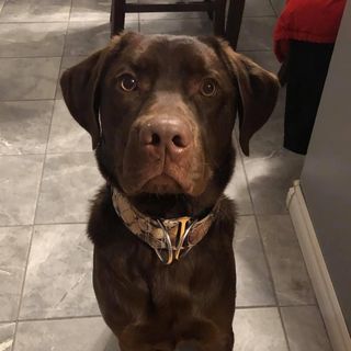 Profile Picture of Nancy Garnett (@nancy.garnett) on Facebook