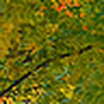 Profile Picture of Invitn (@invitn) on Flickr