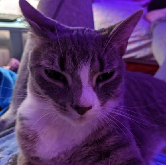 Profile Picture of Kleetus Mcfeetus (@kleetusmcfeetus) on Poshmark