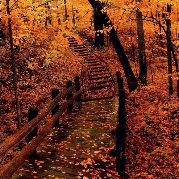 Profile Picture of Joanne Nelson (@jnelson628) on Poshmark