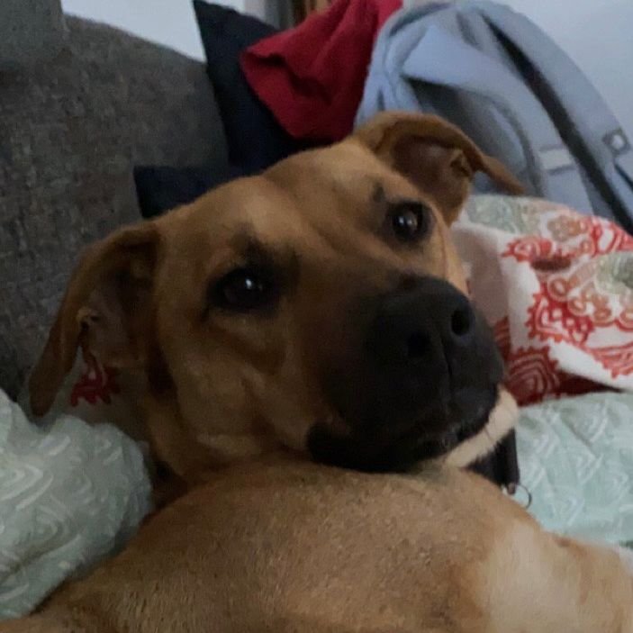 Profile Picture of williamredd5 (@williamredd5) on Tiktok