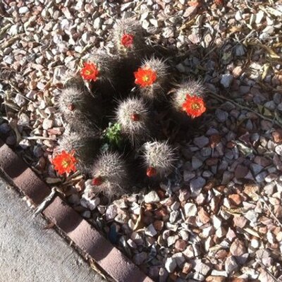 Profile Picture of Gary Hellard Sr (@HellardSr) on Twitter