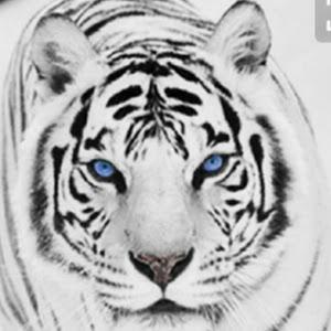 Profile Picture of frankhampel681hampi (@frankhampel681) on Tiktok