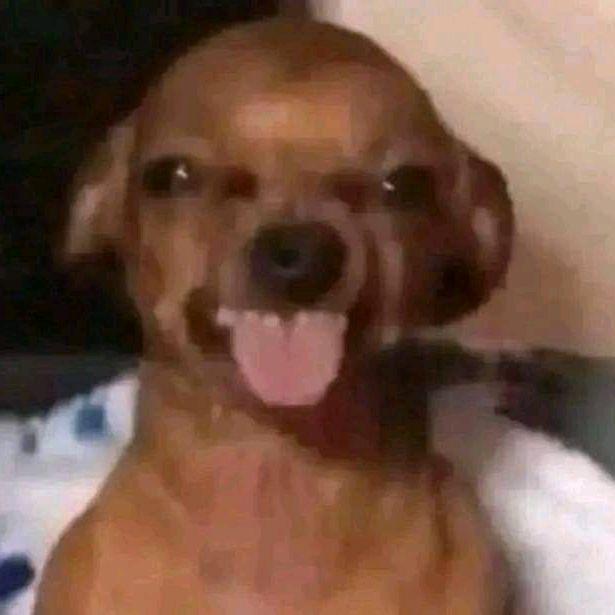 Profile Picture of Eric Bobadilla78 (@ericbobadilla78) on Tiktok