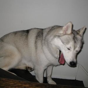 Profile Picture of Jill Schumacher (@geniuschick) on Myspace