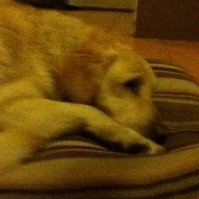 Profile Picture of Brad Pemberton (@brado101) on Twitter