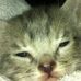 Profile Picture of Kevin Kreger (@kevin.kreger.733) on Facebook