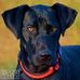 Profile Picture of Karl Bruder (@karl.bruder.7) on Facebook