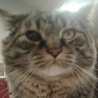 Profile Picture of Thomas Backman (@thomas-backman-5) on Quora