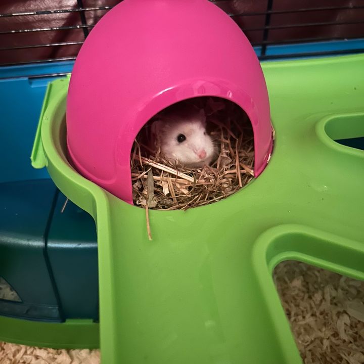 Profile Picture of Dawnstock (@stjimmy8534) on Tiktok