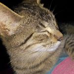 Profile Picture of Lorena Salinas (@lorena_salinas11) on Instagram