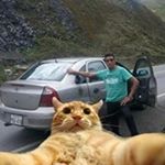 Profile Picture of Juan Tercero (@juan.tercero.3323) on Instagram