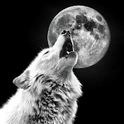 Profile Picture of Samuel Temitope (@samueltemitope5584) on Youtube