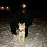 Profile Picture of Marco Toledo Prieto (@nbd_toledo13) on Instagram