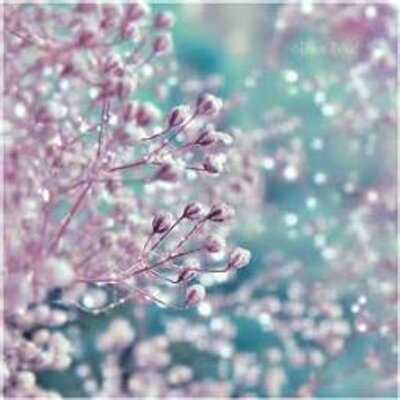 Profile Picture of W Shing John (@wjohn_rp) on Twitter