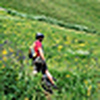 Profile Picture of kris_hoyt (@kris_hoyt) on Flickr