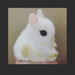 Profile Picture of Myrna montalvo (@myrnamon14) on Instagram