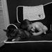 Profile Picture of DeLane Carroll (@laneycarroll) on Pinterest