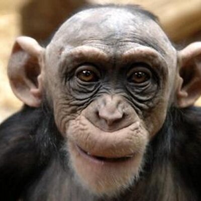 Profile Picture of Bob Shadowens (@RLS3) on Twitter