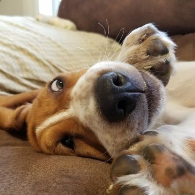 Profile Picture of April Cisneros (@graftqd) on Twitter