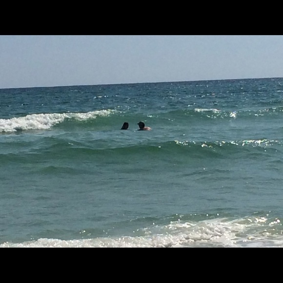 Profile Picture of Blair Burson (@walstaab) on Poshmark