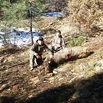 Profile Picture of David Halder (@halder.david) on Instagram