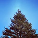Profile Picture of Peter Post (@123pusa) on Instagram