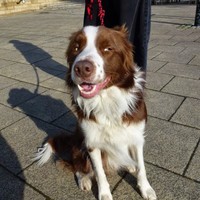 Profile Picture of Tim Giddings (@tim-giddings-2) on Quora