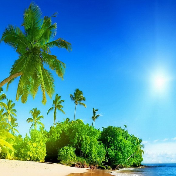 Profile Picture of Robert Mccaw (@luvrobertmccaw) on Poshmark