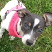 Profile Picture of Kasey Campbell (@kaseycampbell9029) on Youtube