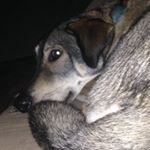 Profile Picture of Brad Scanlon (@bscanpgh) on Instagram