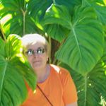 Profile Picture of Vivian M. Caputo (@vivian.m.caputo) on Instagram