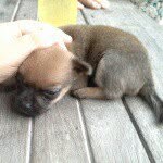 Profile Picture of Stevenson Timothy (@stevenson_timothy) on Instagram